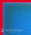 8-800 x900 A-powiekszenie.jpg