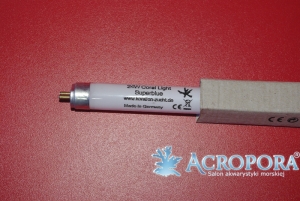 Coral Light Superblue 80W