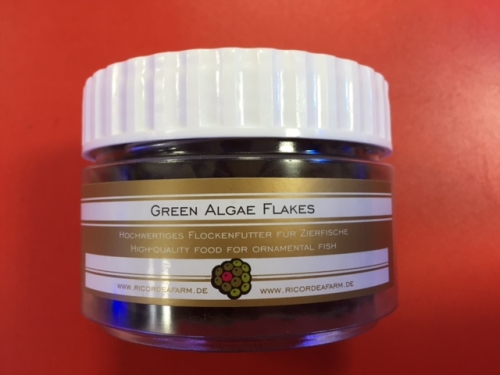 Green Algae.jpg