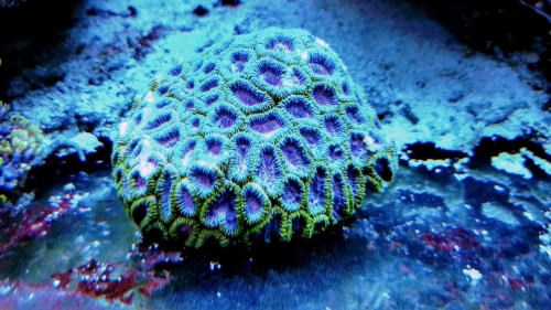IMG_20201211_183905840_HDR.jpg