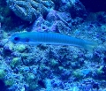IMG_1372.jpg