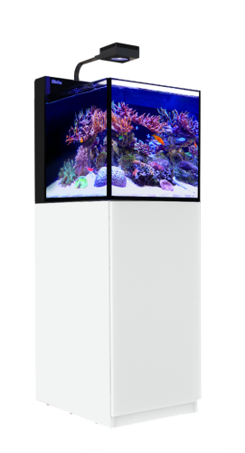 MAX NANO Peninsula white full.png