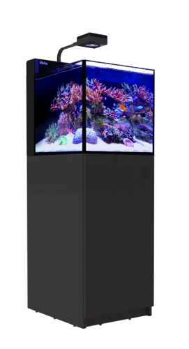 MAX NANO Peninsula black full.png