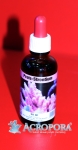 Strontium 50 ml