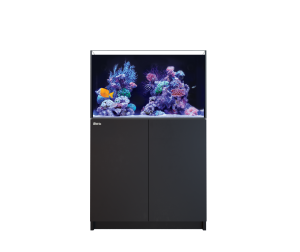 REEFER G3 250 Complete System Black (na zamówienie ok. 3 tyg.)