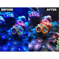 Before-After-W-768x768.png