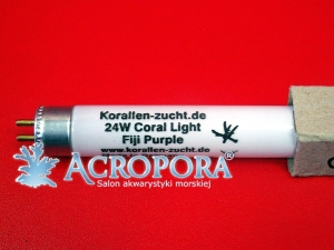 Coral Light Fiji Purple T5 39W