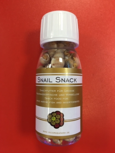 Snail.jpg