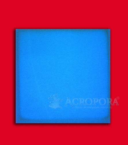 8-800 x900 A.jpg